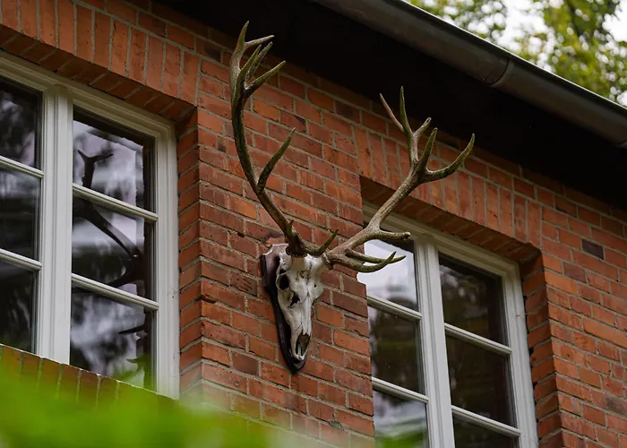 Wald- und Seeidyll im historischen Forsthaus