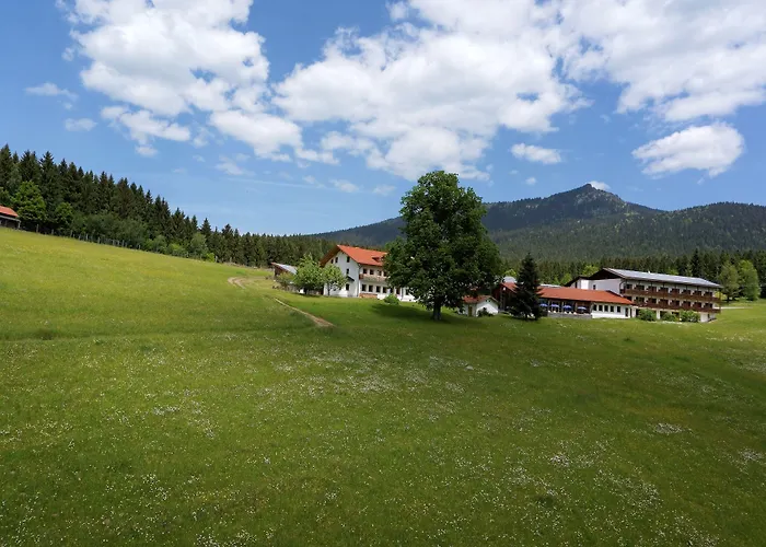 Osserhotel Garni