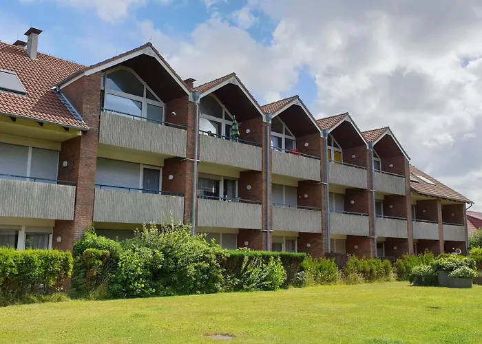 Seestern