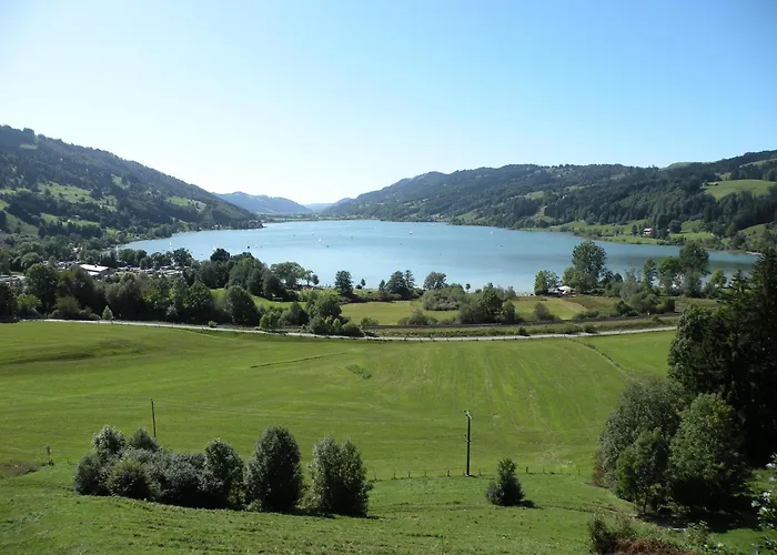 Goldiger Hirsch B&B mit Gemeinschaftsküche