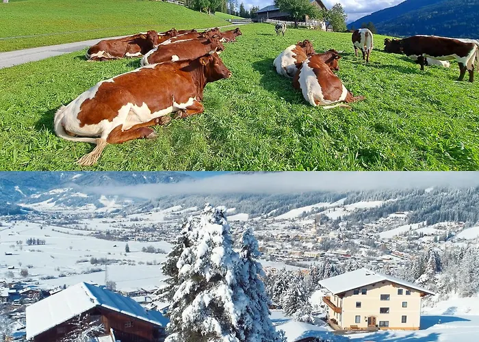 Sauschneidhof - Radstadt