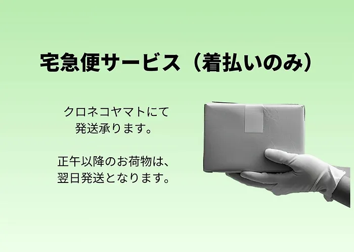 Henn na Hotel Osaka Shinsaibashi