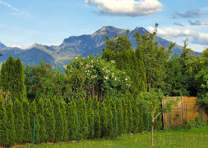 Chiemsee Hauszeit
